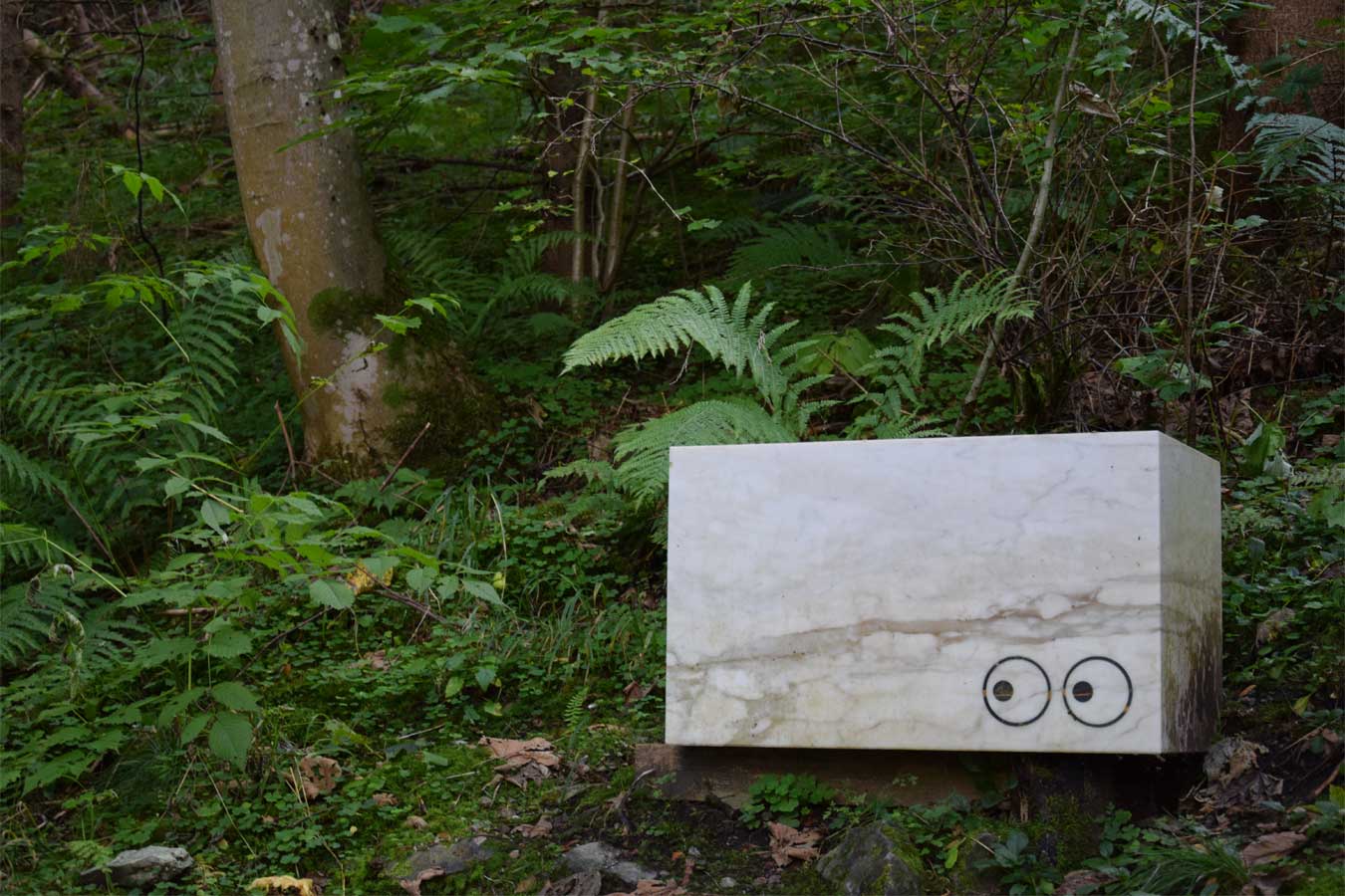 Fotografia di un rettangolo con disegnati degli occhi sopra in mezzo al bosco. 